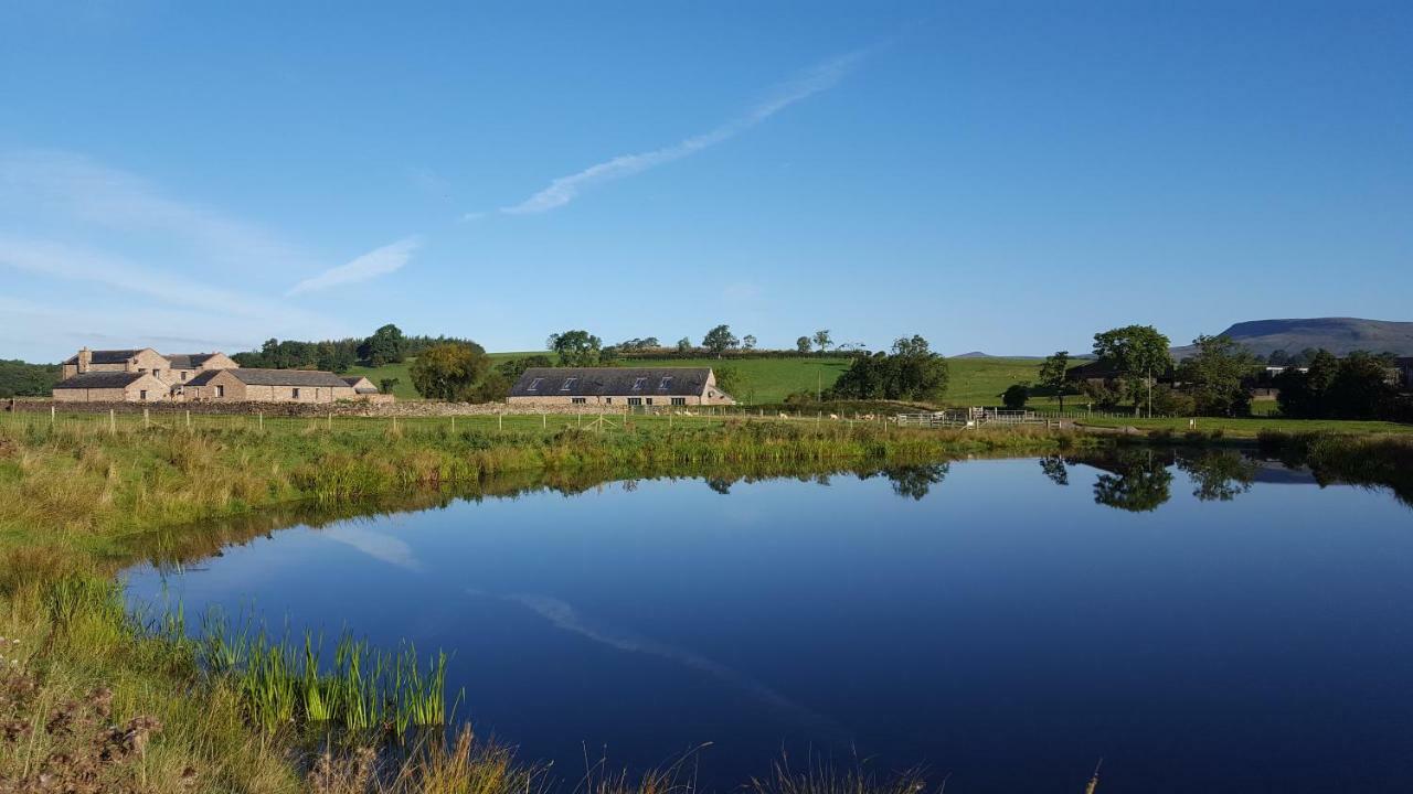 Keld Barn, Low Ploughlands Holiday Lets Киркби-Стивен Экстерьер фото